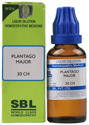 SBL PLANTAGO MAJOR 30CH LIQUID 30ML